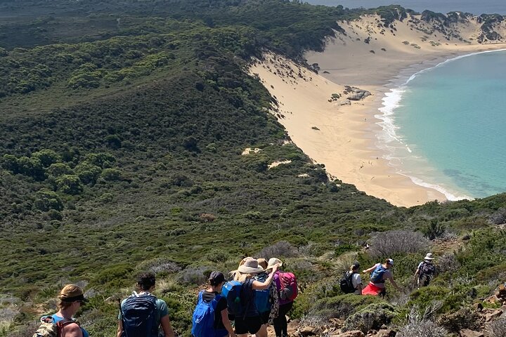 Full-Day Private Guided Hobart Shore Excursion in Tasmania