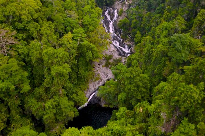 Amazing Daintree Rainforest Tour Waterfall Hike, Lunch, Swim & Crocodile Cruise