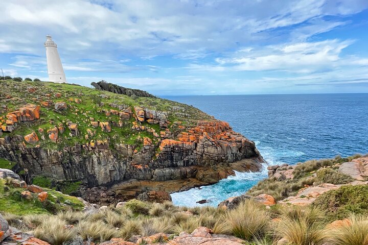 3-Day Guided Sea Dragon Kangaroo Island Experience