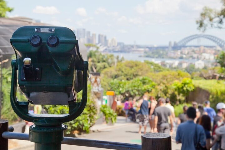 Sydney Half Day Tour with a Local: 100% Personalized & Private
