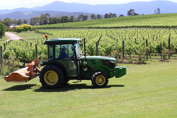 Private Wine Tour in Yarra Valley