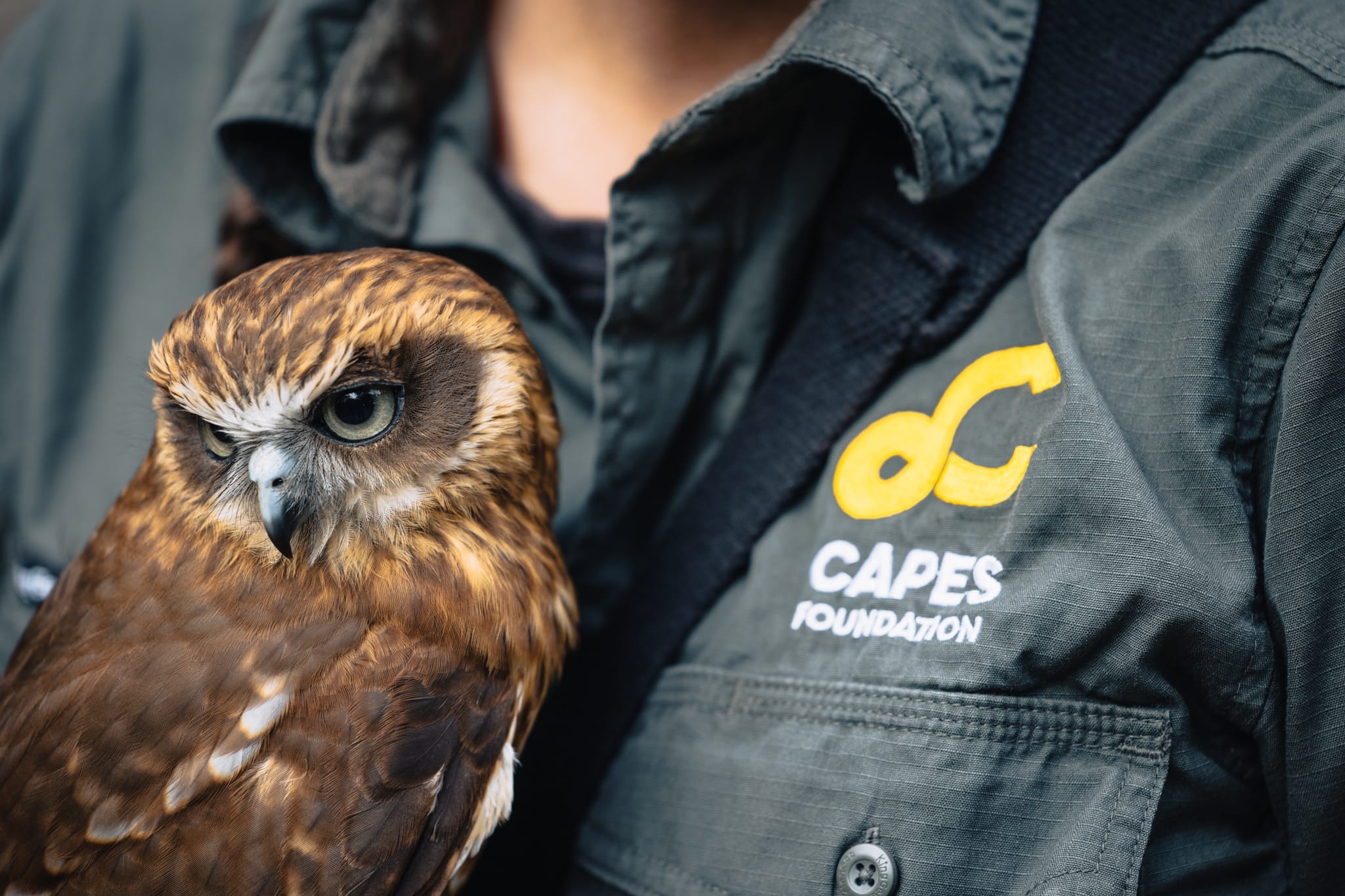 Eagles Heritage Encounters and Birds of Prey Forest Walk