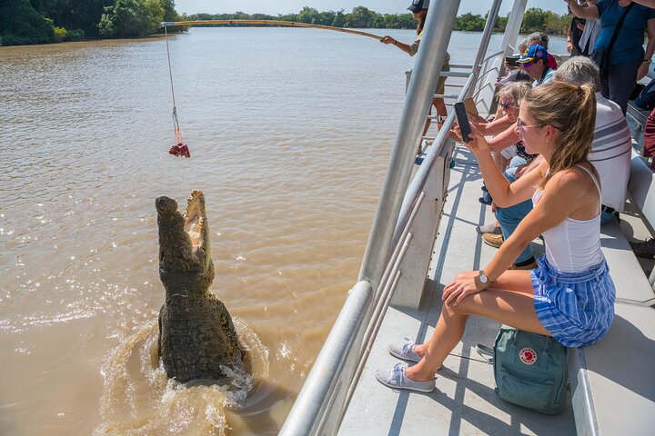 1 Hour Jumping Crocodile Cruise in Adelaide River
