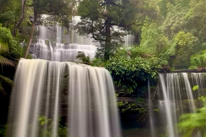 Full-Day Private Guided Hobart Shore Excursion in Tasmania