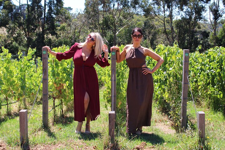 Private Wine Tour in Yarra Valley