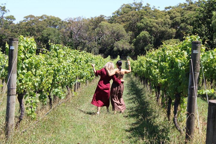 Private Wine Tour in Yarra Valley