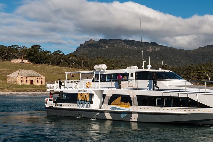 Maria Island Active Day Tour from Hobart