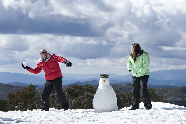 Full-Day Mount Buller Guided Tour