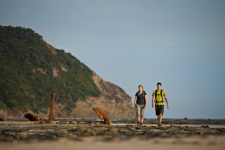 Great Ocean Walk Highlights- 4 Day 'Pack Free' Hiking Tour
