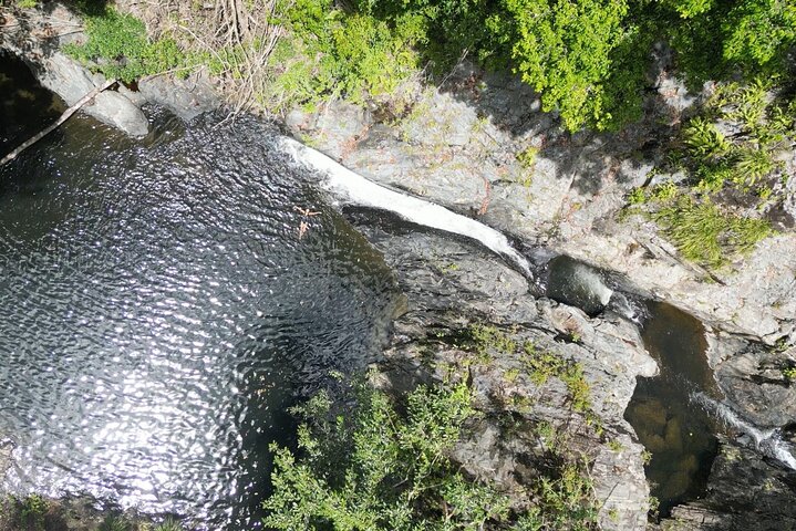 Amazing Daintree Rainforest Tour Waterfall Hike, Lunch, Swim & Crocodile Cruise