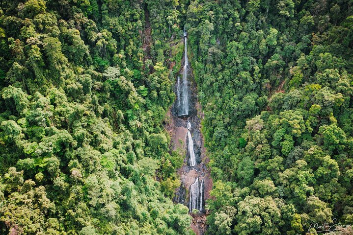 Amazing Daintree Rainforest Tour Waterfall Hike, Lunch, Swim & Crocodile Cruise