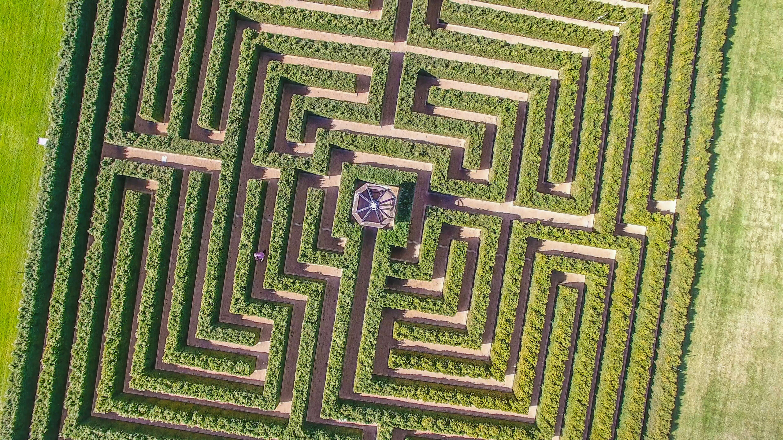 Mayfield Spring Festival - See 75 hectares including the Mayfield Maze - Group