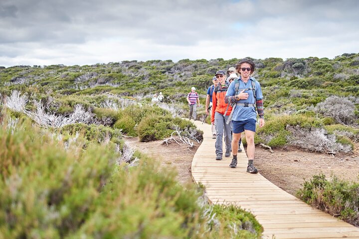 Three Capes & Tasman Peninsula - 4 Day Walking Tour