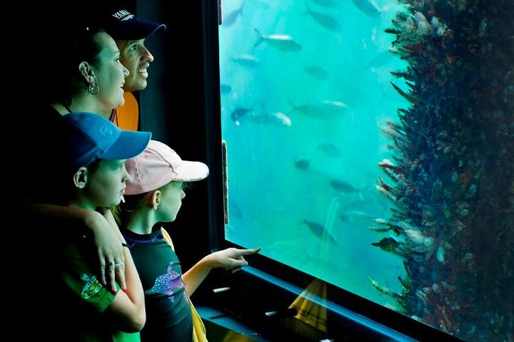 Busselton Jetty Train Ride and Underwater Observatory Tour