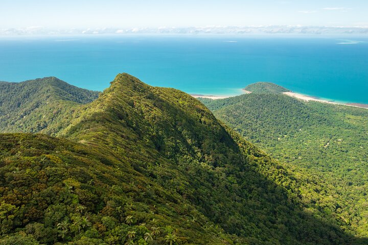 Amazing Daintree Waterfall Hike, Lunch, Swim and Crocodile Spotting Cruise