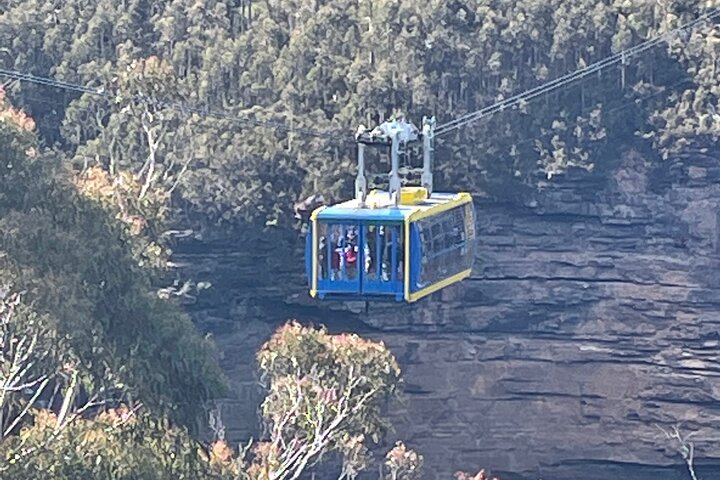 Three Sisters and Blue Mountains Day Trip