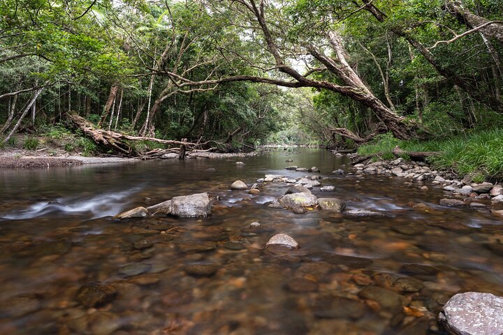 Best of the Daintree ~ Where the Rainforest meets the Reef, Beach, Fruit Tasting