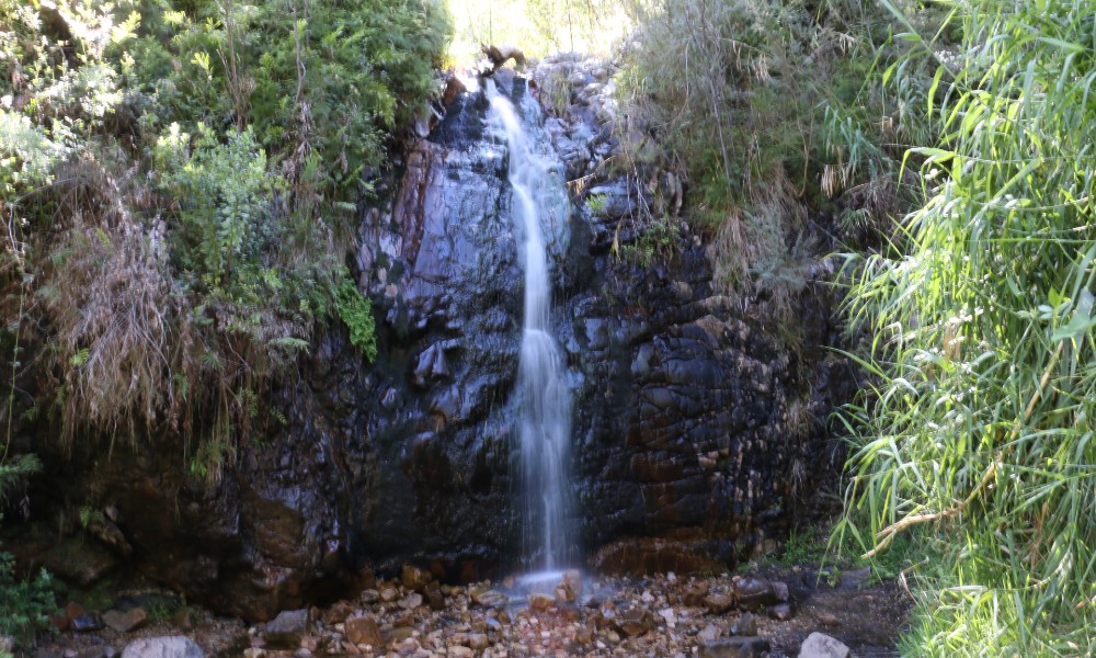 Mount Lofty Bushwalking and Waterfall Hike