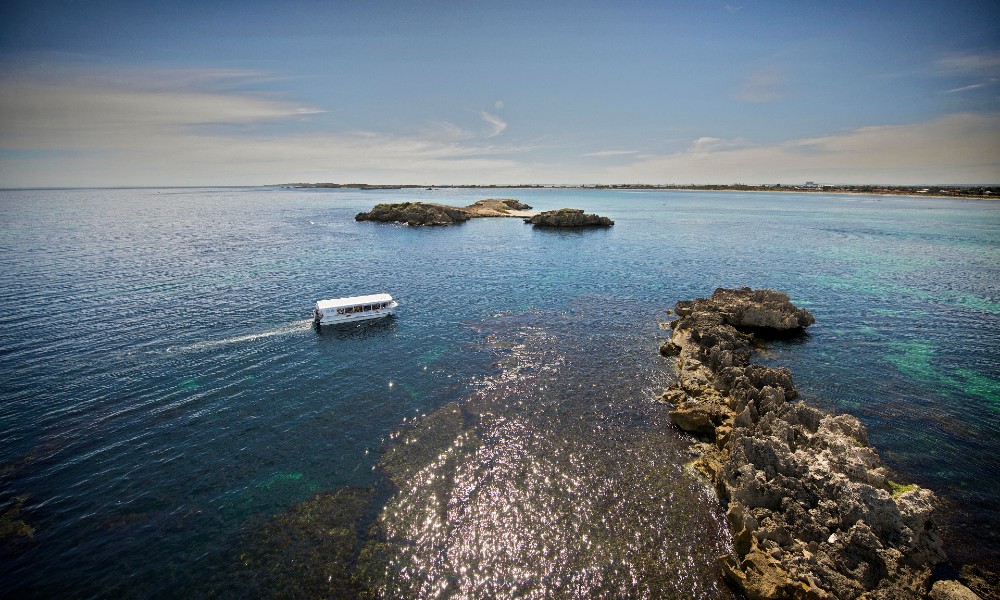 Wildlife Cruise & Seafood Lunch