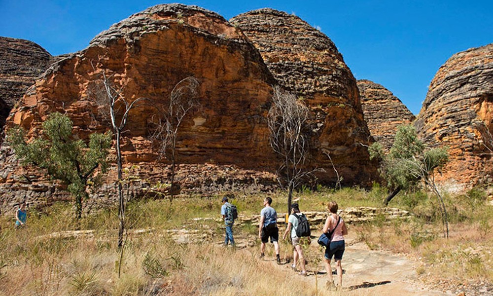 Bungle Bungle Range Scenic Flight and Tour - Full Day