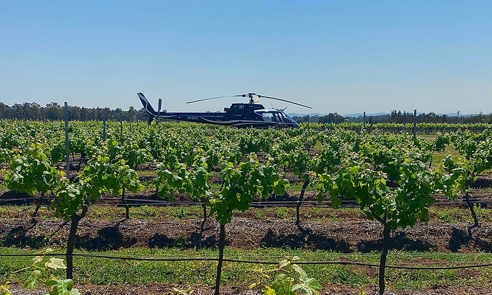 Hunter Valley Scenic Helicopter Flight and Breakfast For Two