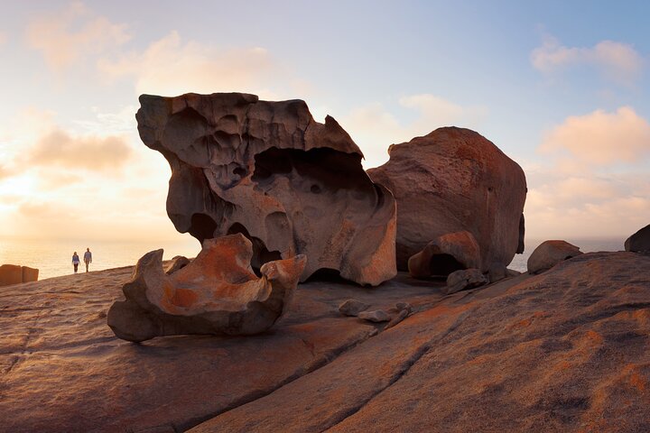 Kangaroo Island Shore Excursion Scenic Trail Tour