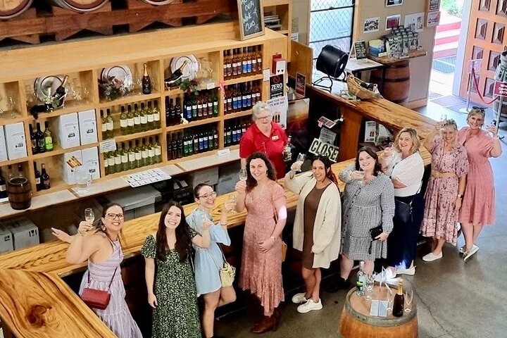 Full-Day Guided Wine Tour in Mt Tamborine From Gold Coast