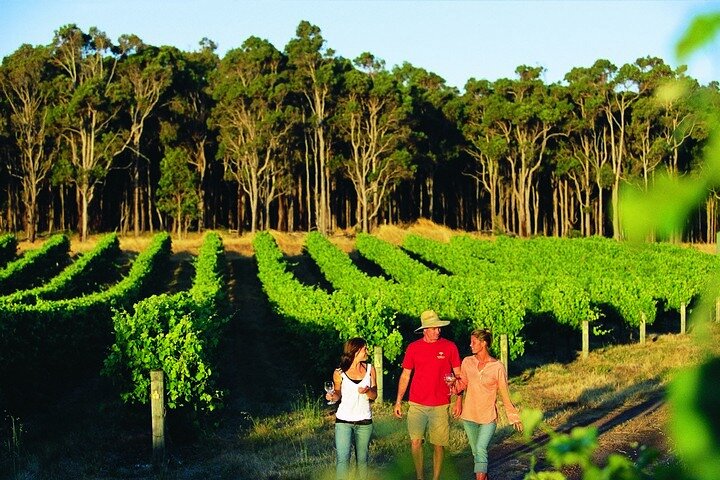 Build your own Unique Private Winery/Brewery Tour at the Margaret River region