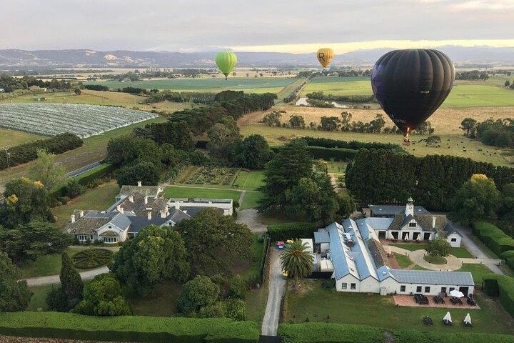 Hot Air Balloon Flight over the Vineyards of the Yarra Valley