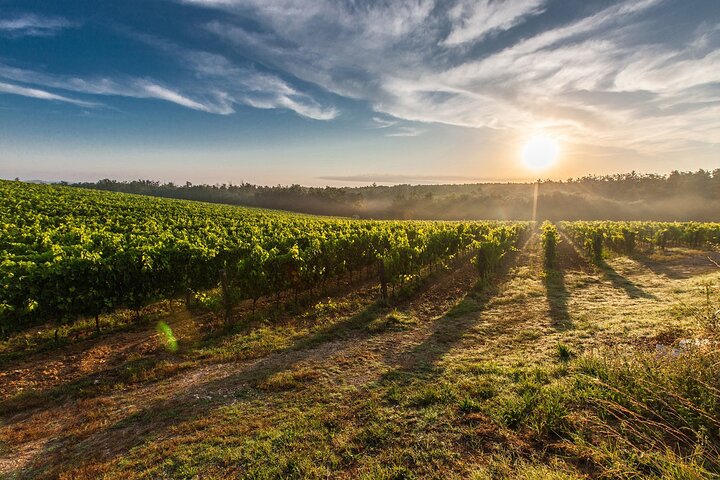 Build your own Unique Private Winery/Brewery Tour at the Margaret River region