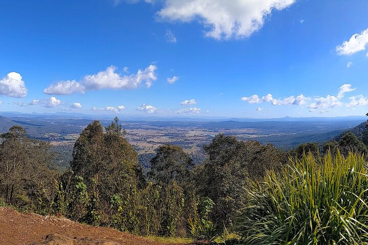 Full-Day Guided Mount Tamborine and Paradise Point Tour