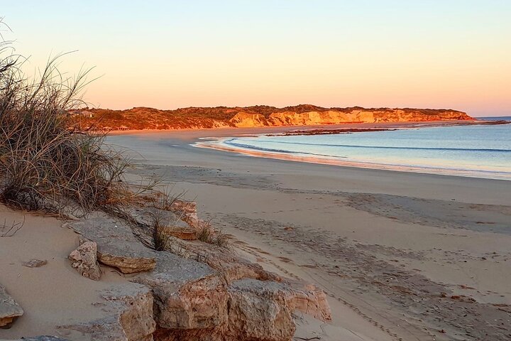 Full-Day Ocean Safari Cruise with Gourmet Lunch from Cable Beach