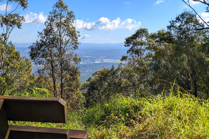 Tamborine Mountain and Paradise Point Tour from Brisbane