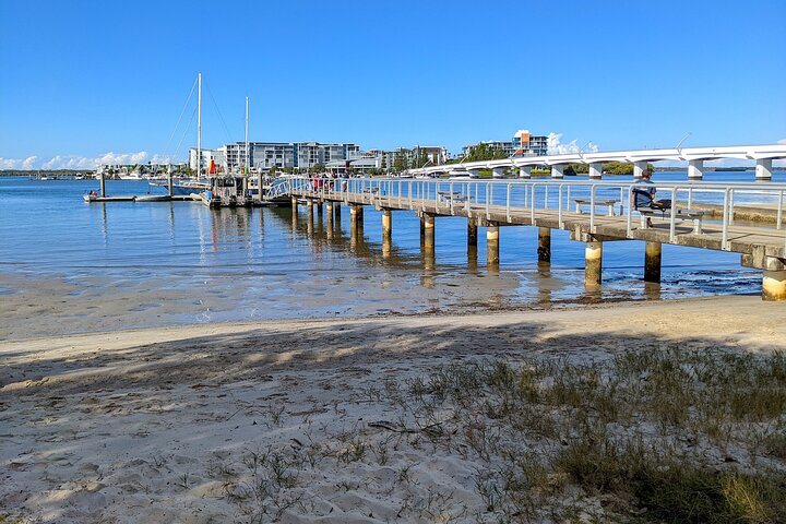 Full-Day Guided Mount Tamborine and Paradise Point Tour