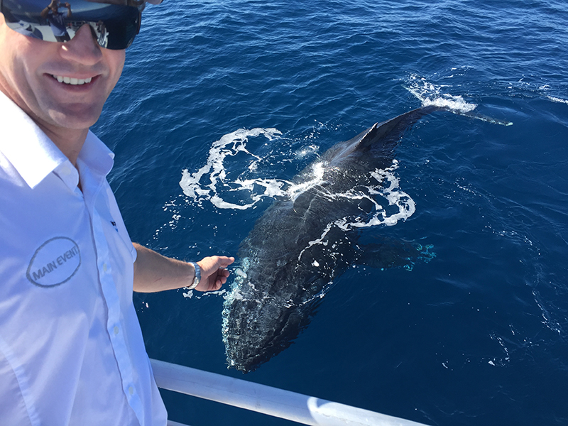 Australia Whale Experience: 1/2 Day Whale Watching Tour July – Oct 2023 Departs Bundaberg