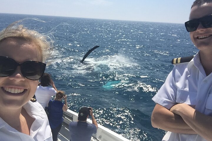 2 hour whale watching experience departing Hillarys Boat Harbour