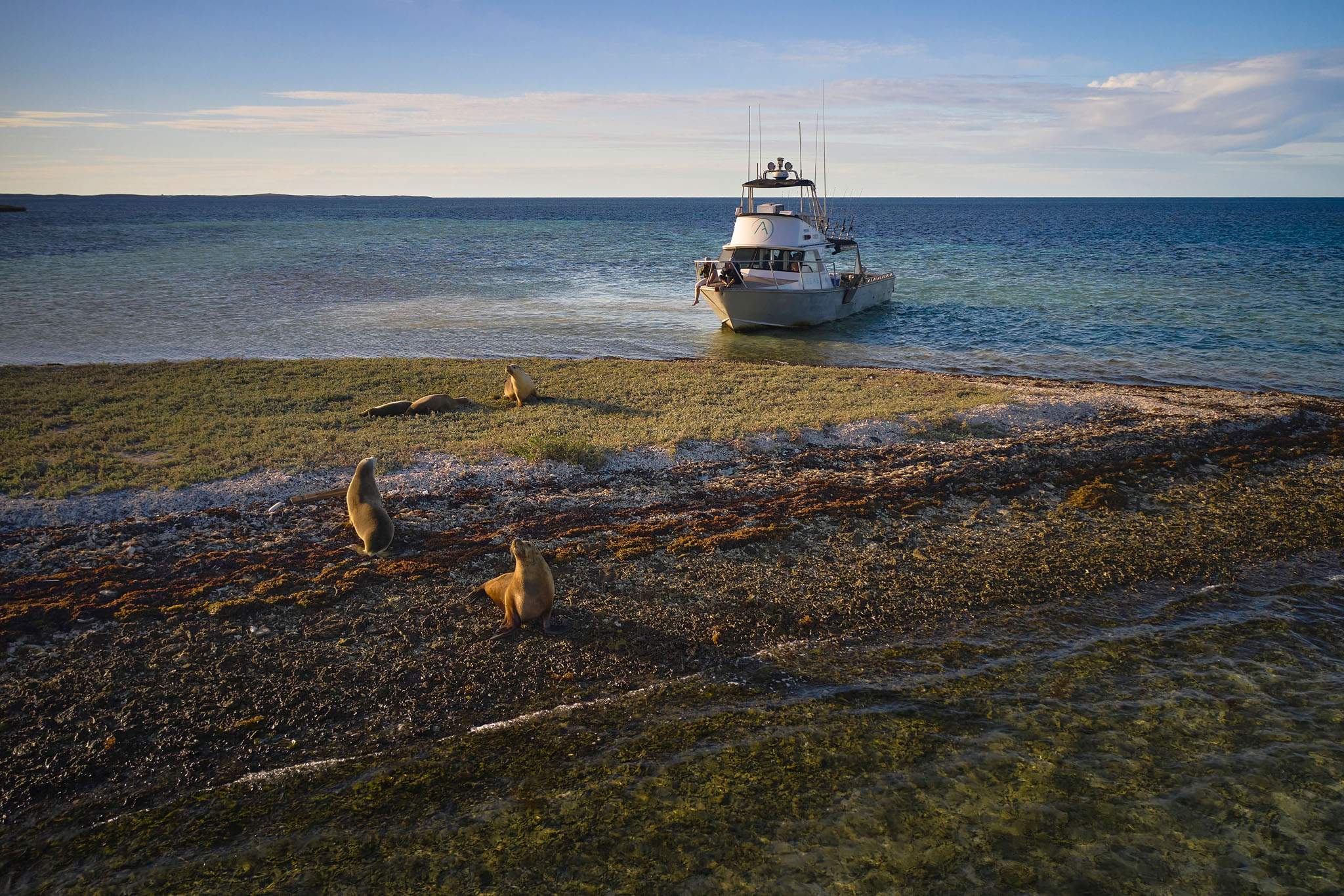 'The Abrolhos Sea Shack' 3 Day Liveaboard Charter (Ex. Geraldton)