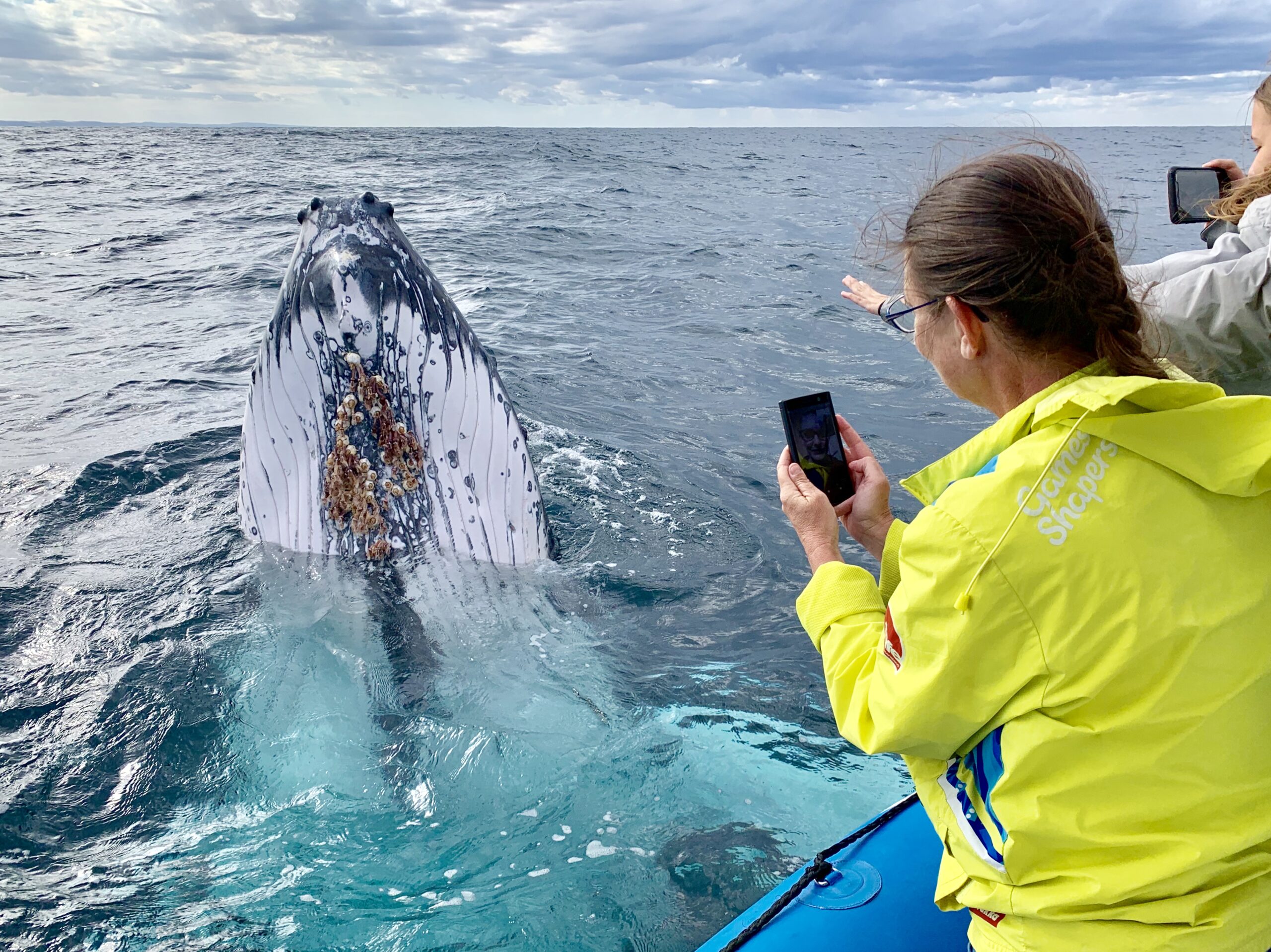 Boutique Whale Watching Adventure Tour