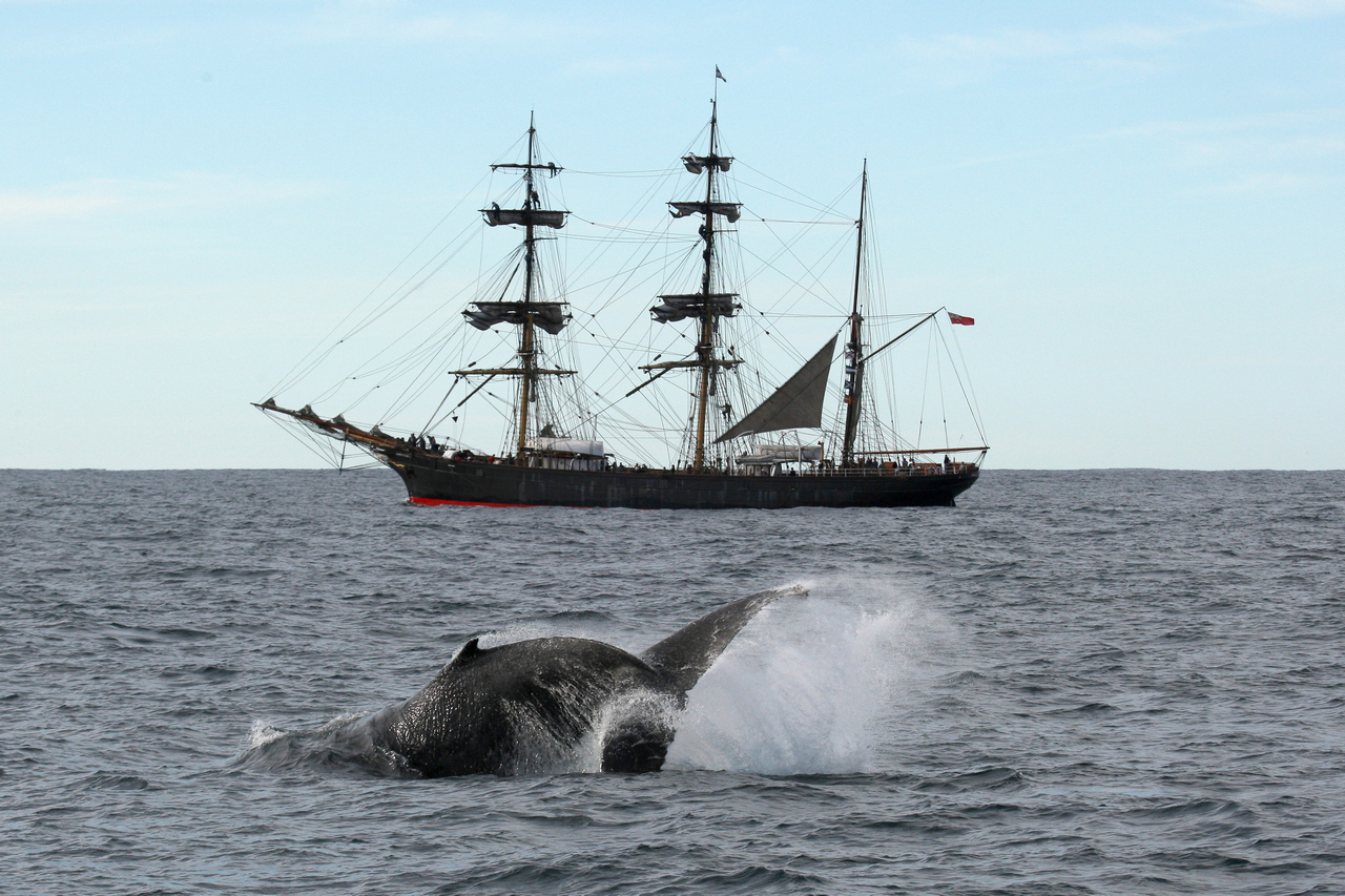 James Craig | A Day At Sea