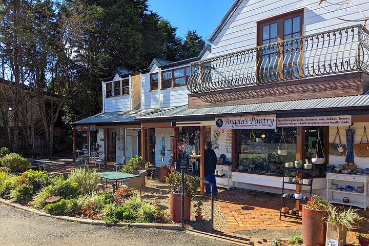 Full-Day Guided Mount Tamborine and Paradise Point Tour