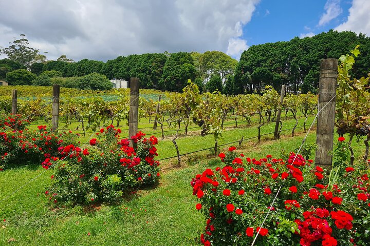 Clare Valley