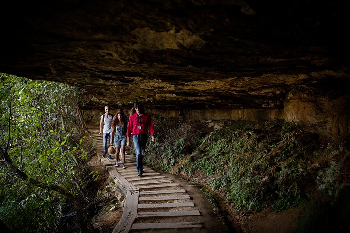 Small Group All-Inclusive Blue Mountains Day Trip