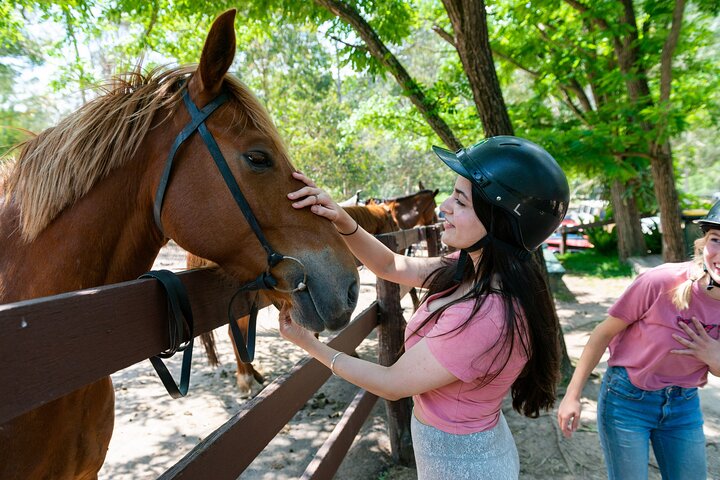 Horse Riding Tour at Glenworth Valley Outdoor Adventures