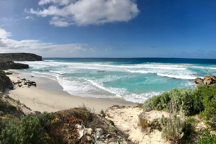 Kangaroo Island Shore Excursion Scenic Trail Tour