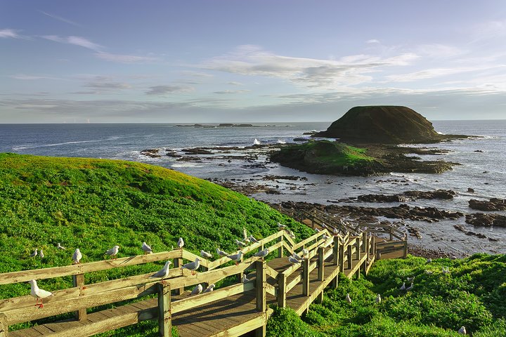 Phillip Island Tour from Melbourne