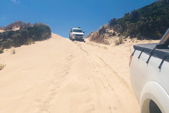 Tag along 4x4 tours Robe and Beachport