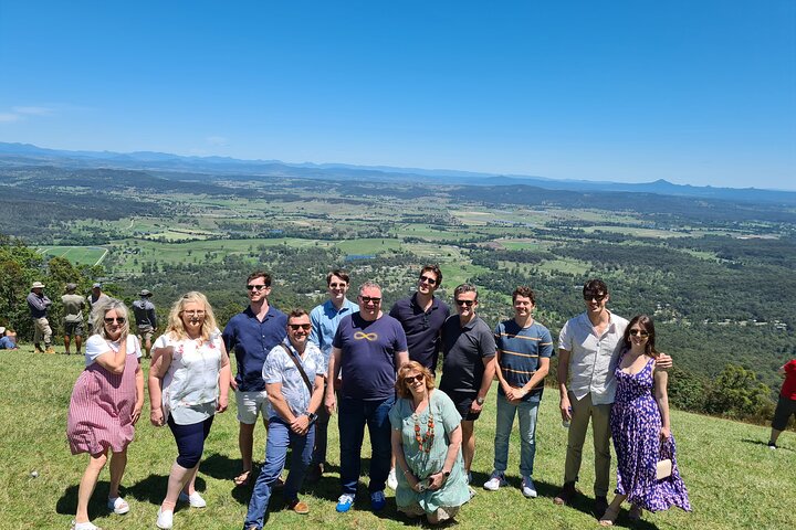 Full-Day Guided Wine Tour in Mt Tamborine From Gold Coast