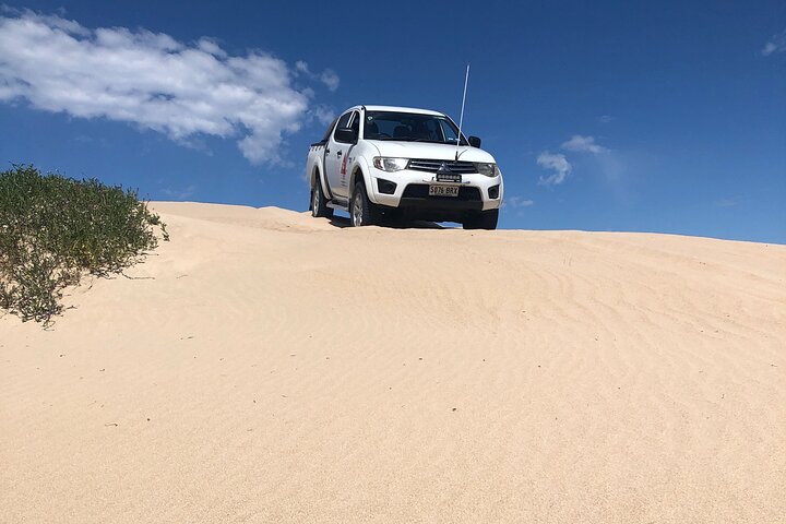 Tag along 4x4 tours Robe and Beachport