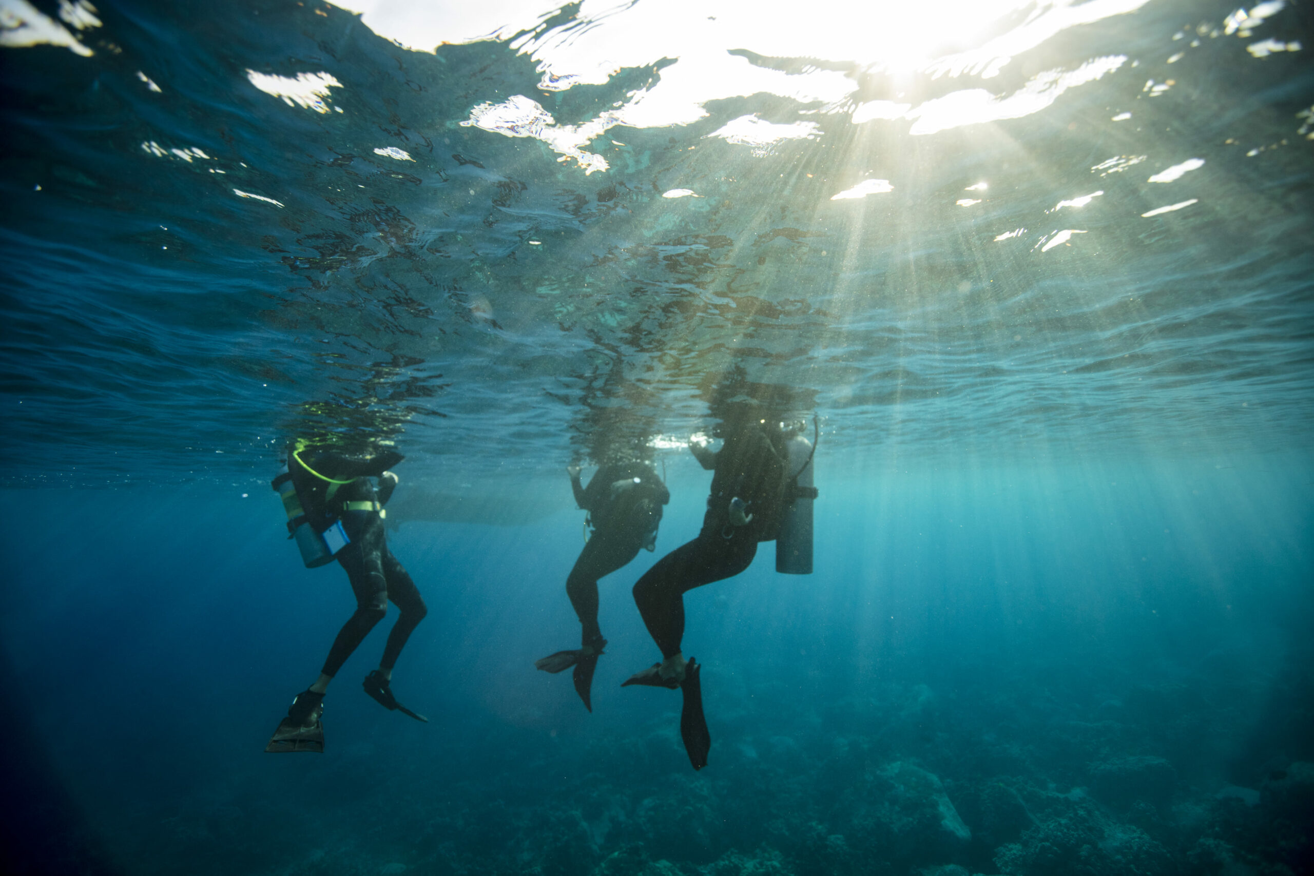 Discover Local Diving in Perth