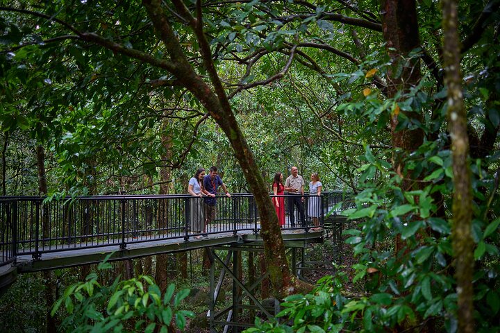 Daintree Dreaming Aboriginal Art & Culture – Cairns\Port Douglas